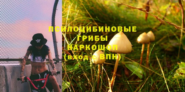 ECSTASY Алексеевка