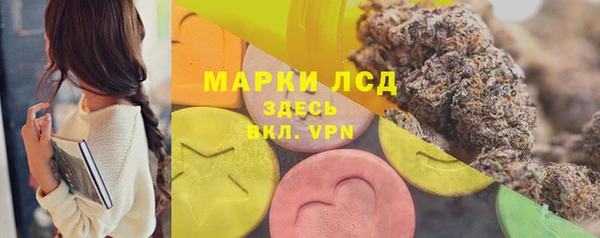 гашик Алзамай